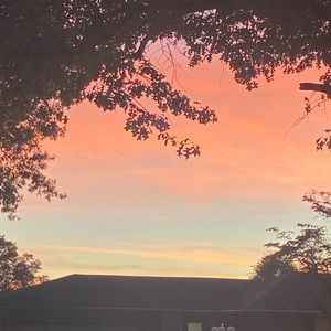 Meet your Posher, Kylee